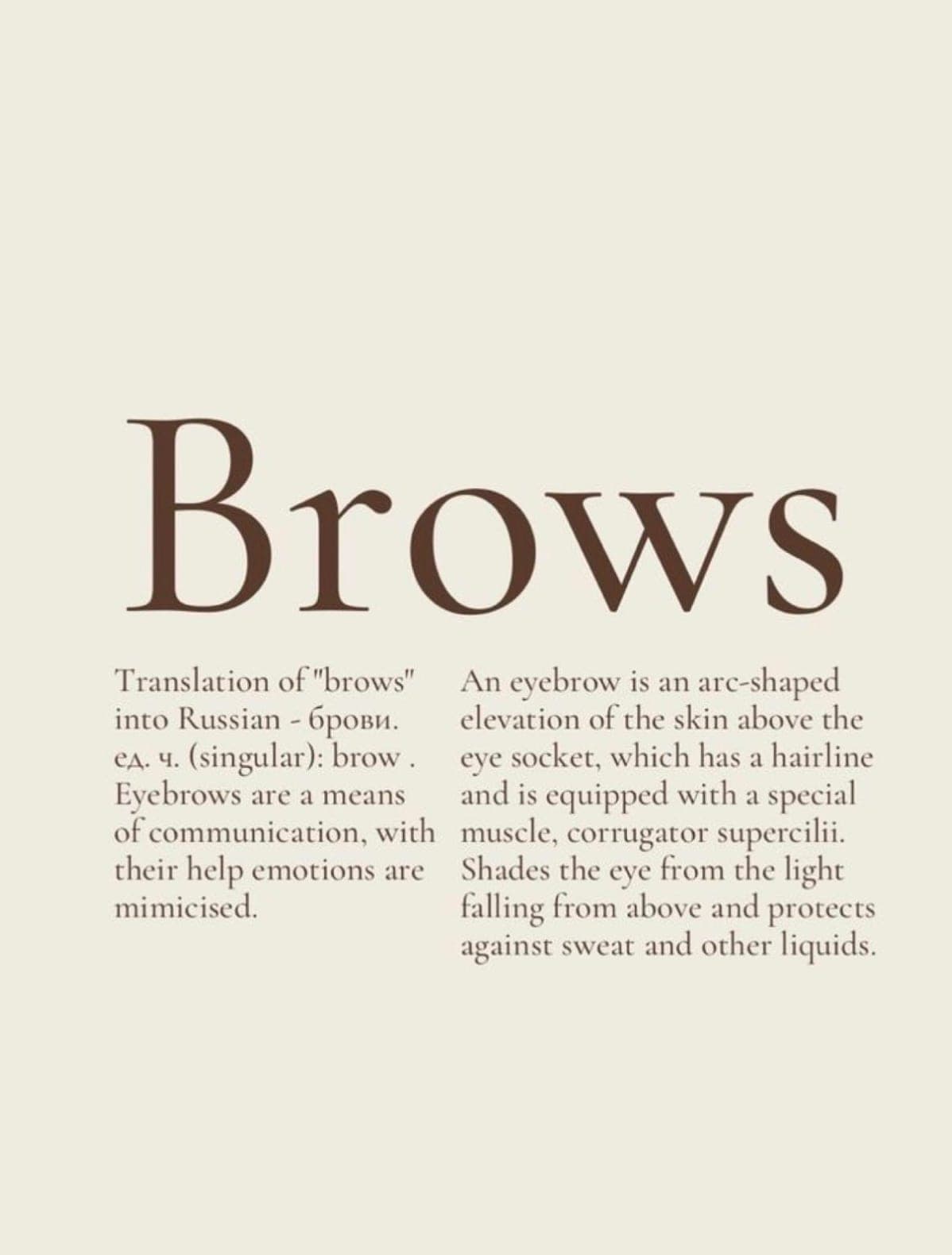 Kort med ordet Brows och en kort förklaring av vad ett ögonbryn är